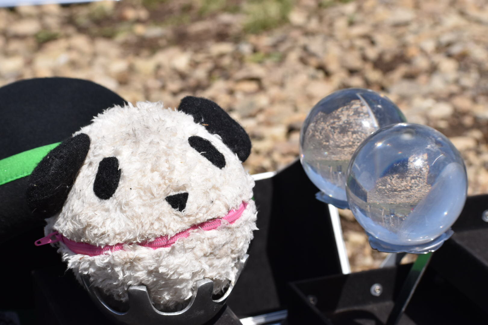 パフォーマンス写真 5